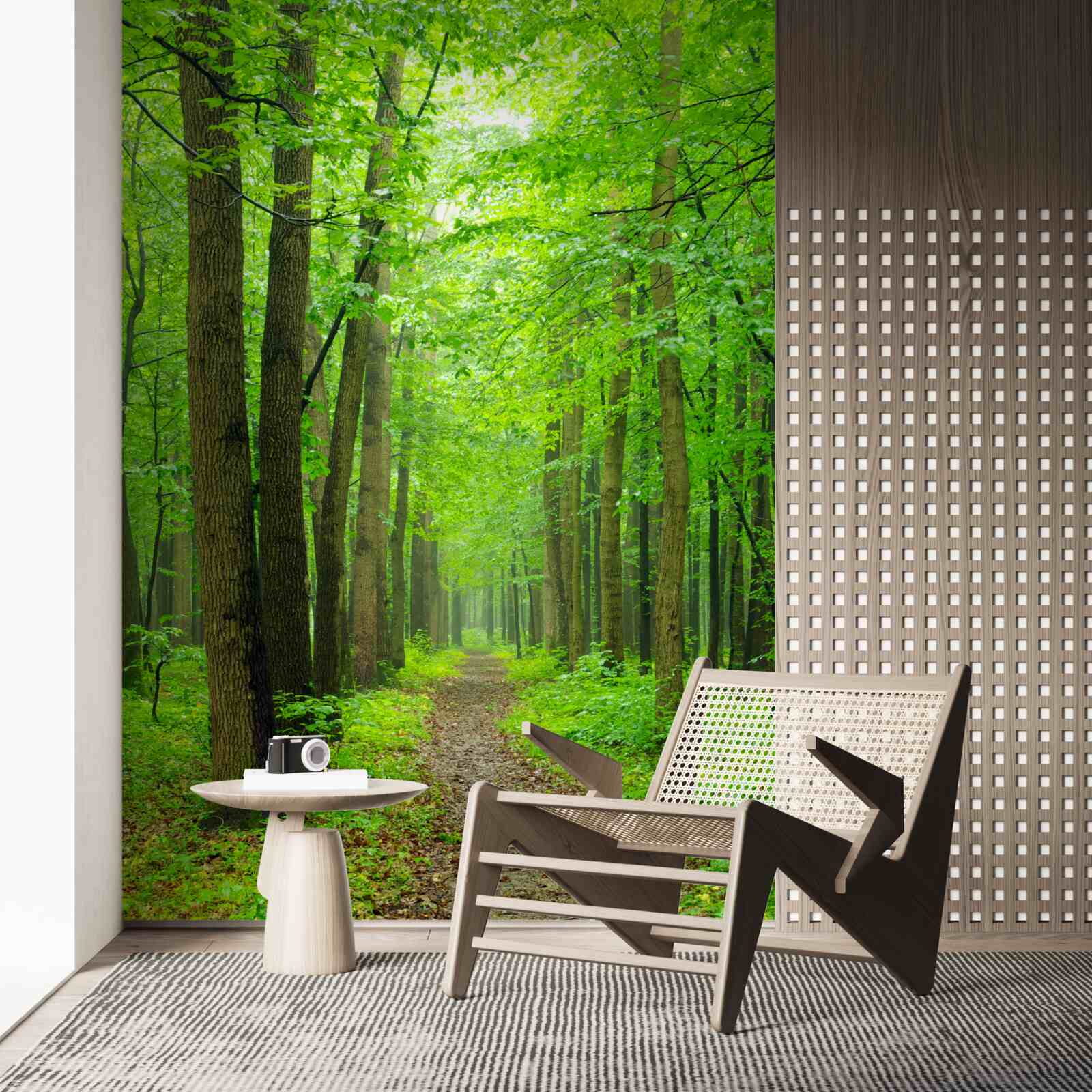 Papier peint un chemin confortable à travers une gracieuse forêt de feuillus