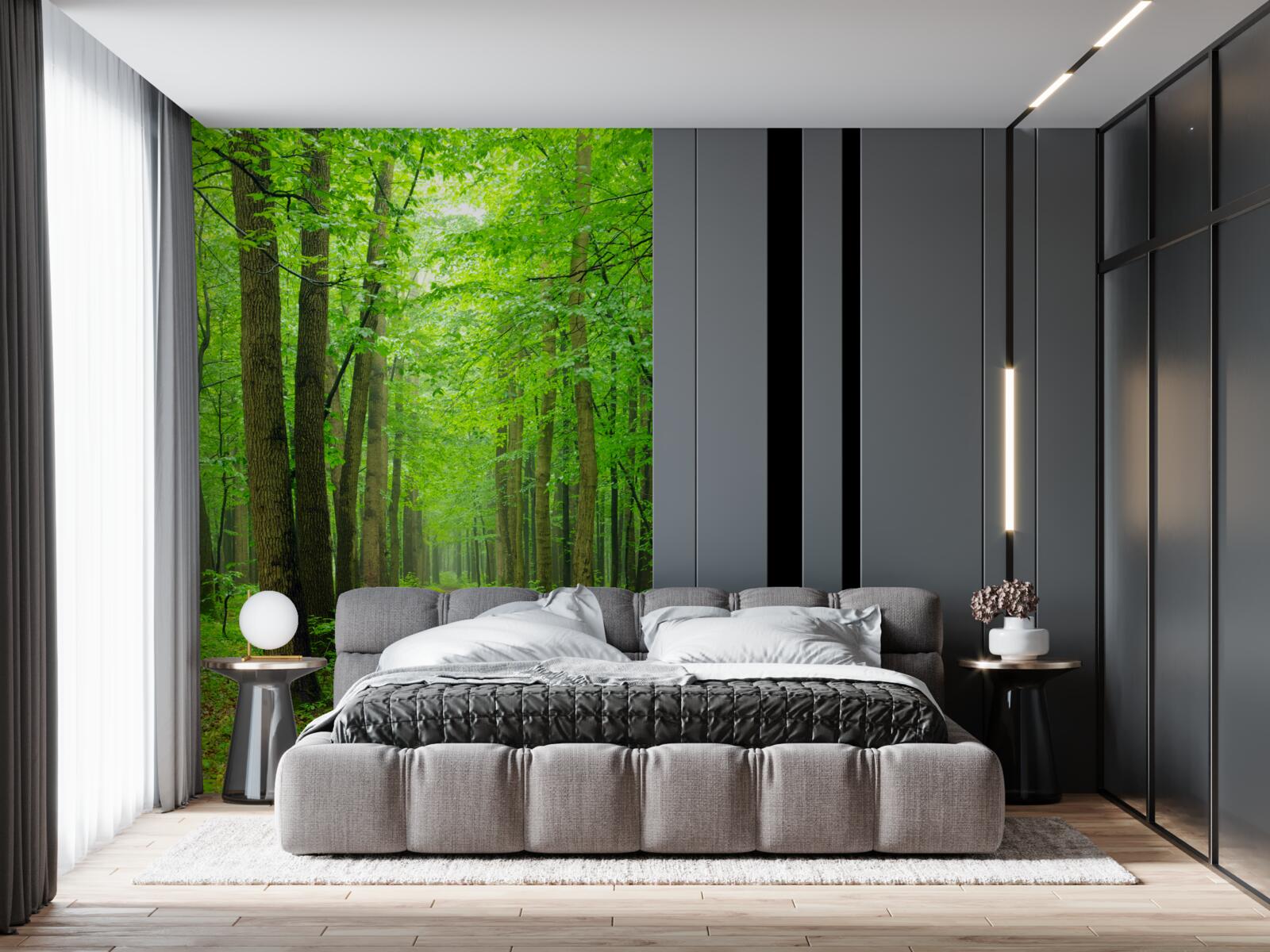 Papier peint un chemin confortable à travers une gracieuse forêt de feuillus