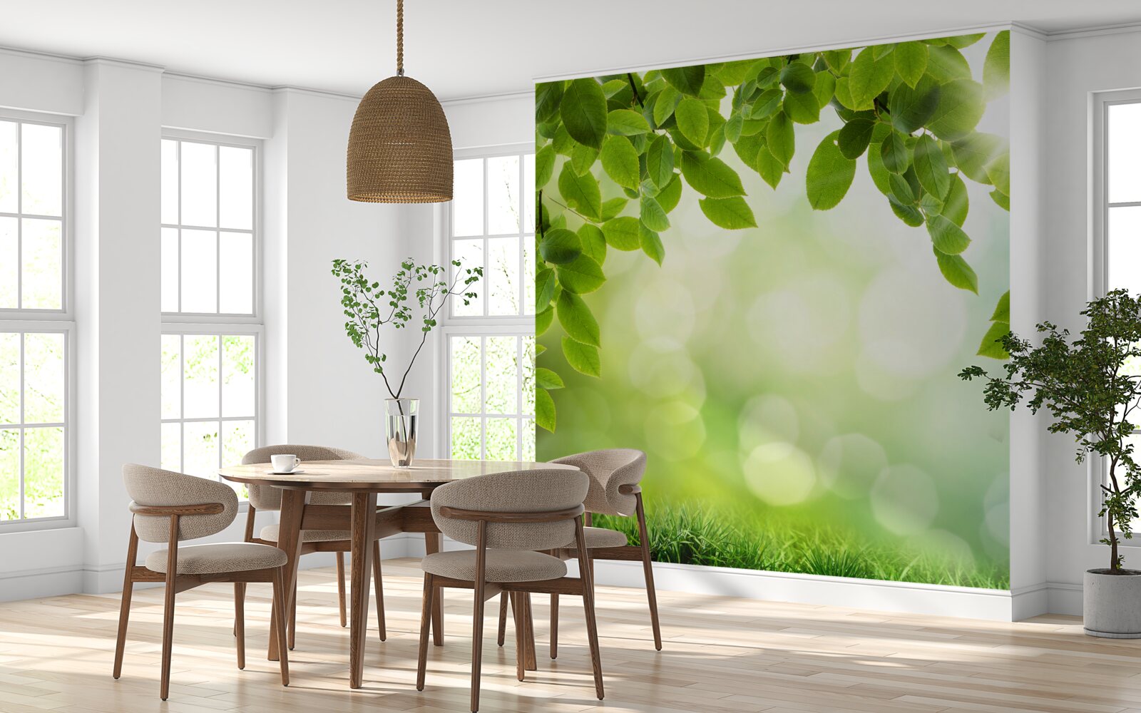 Papier peint le soleil dans son éclat et les feuilles ornées de gouttes vertes