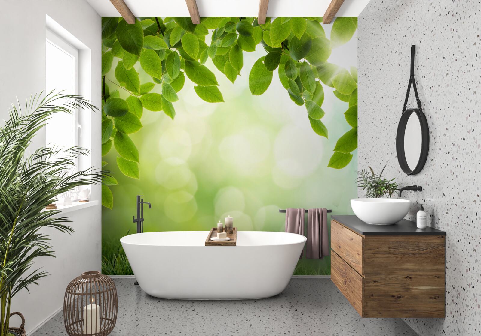 Papier peint le soleil dans son éclat et les feuilles ornées de gouttes vertes