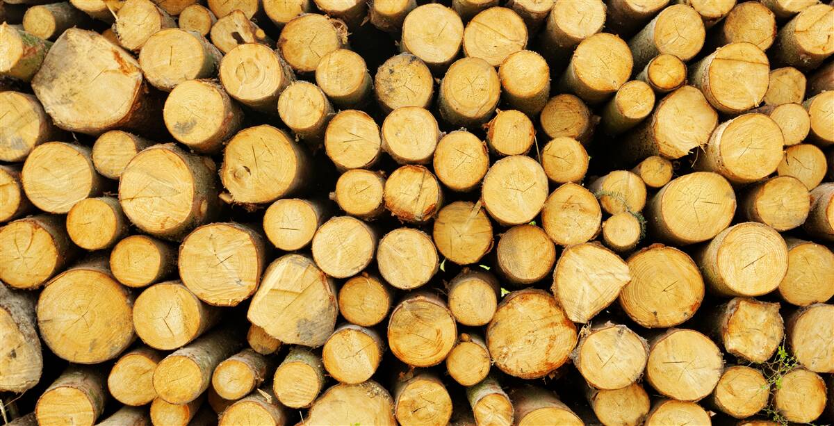 Papier peint pile de bois de chauffage coupé