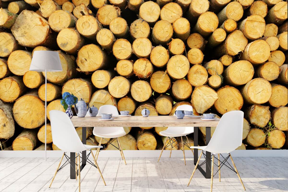 Papier peint pile de bois de chauffage coupé