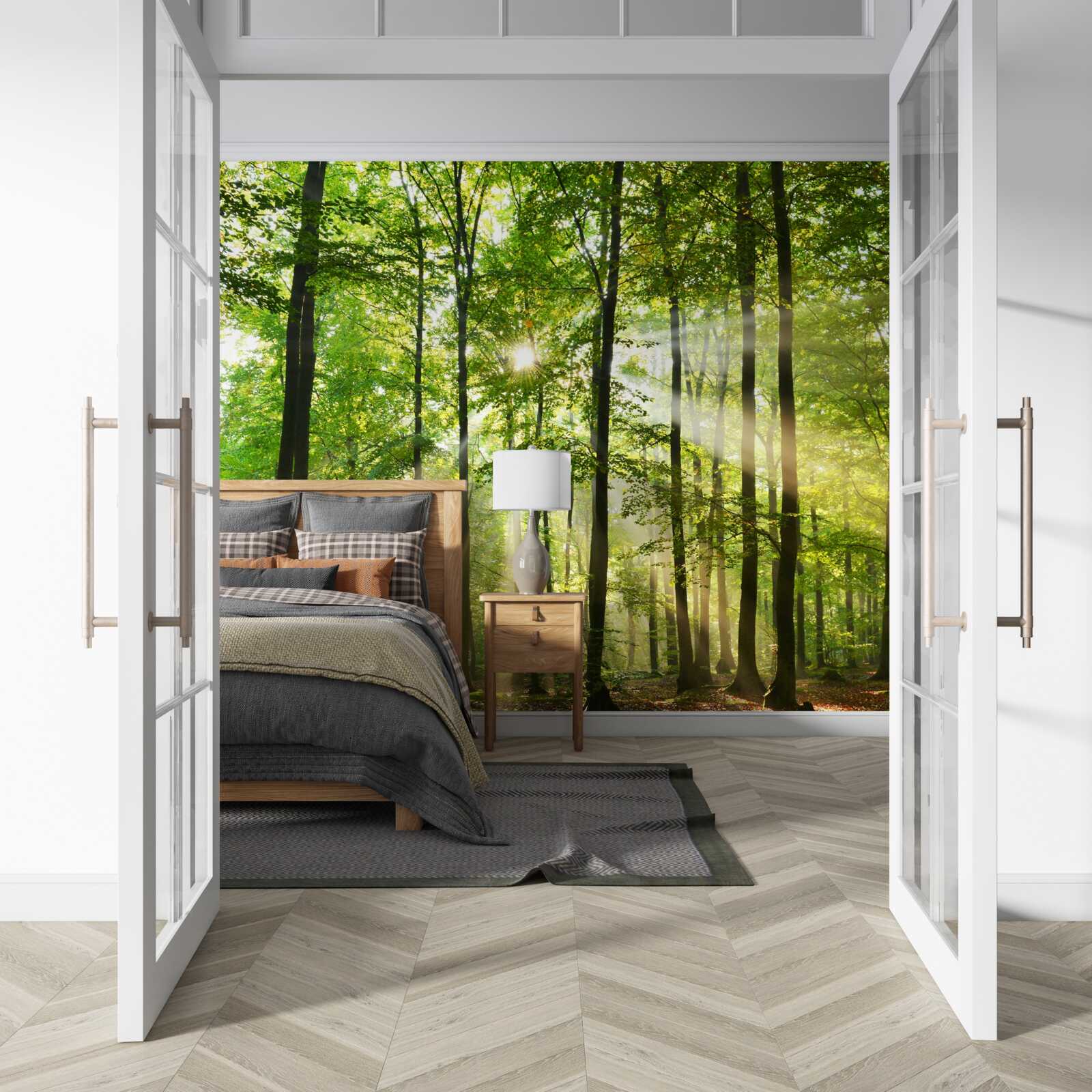 Papier peint les rayons du soleil percent la forêt verte et bien ordonnée