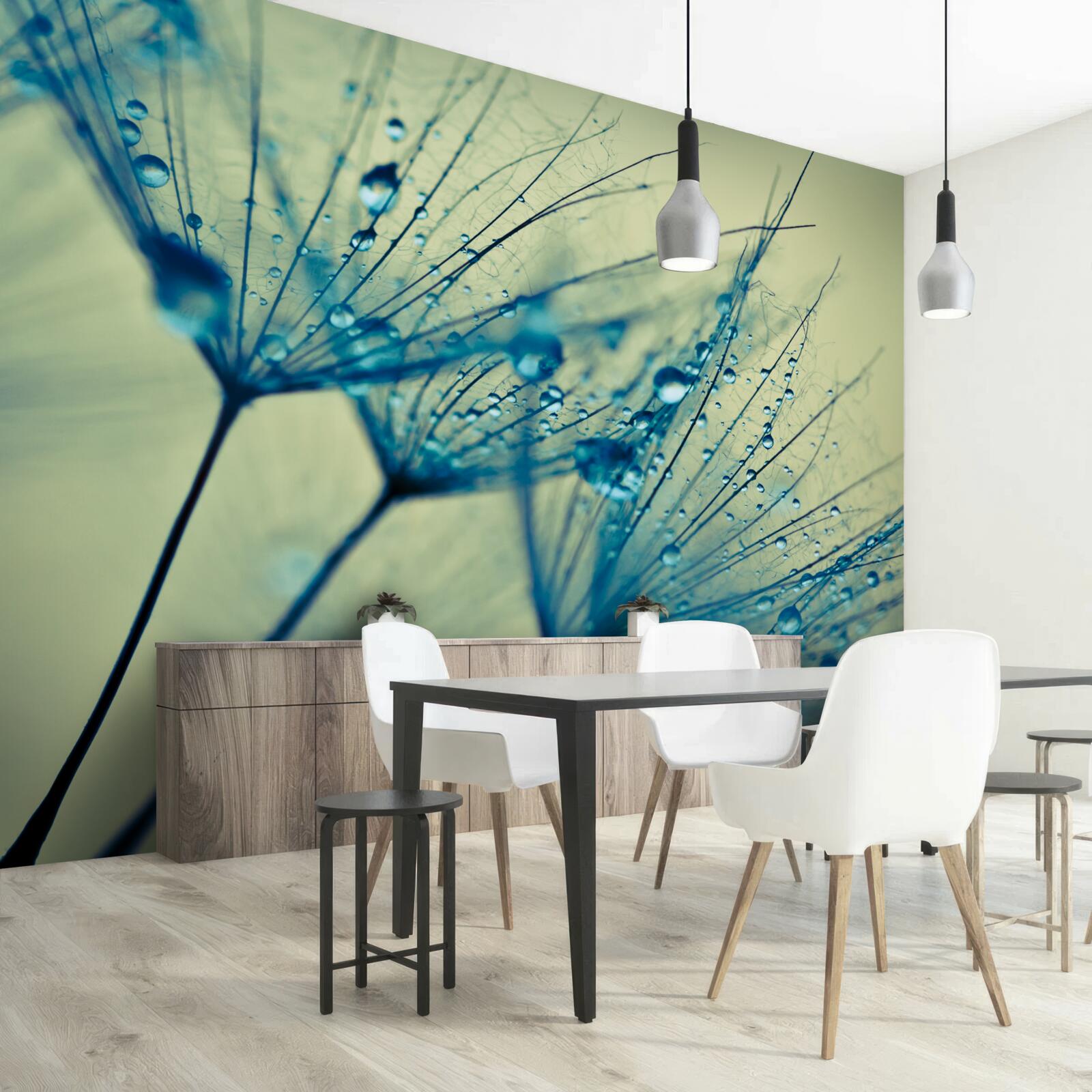 Papier peint pissenlit décoré de gouttes d'eau