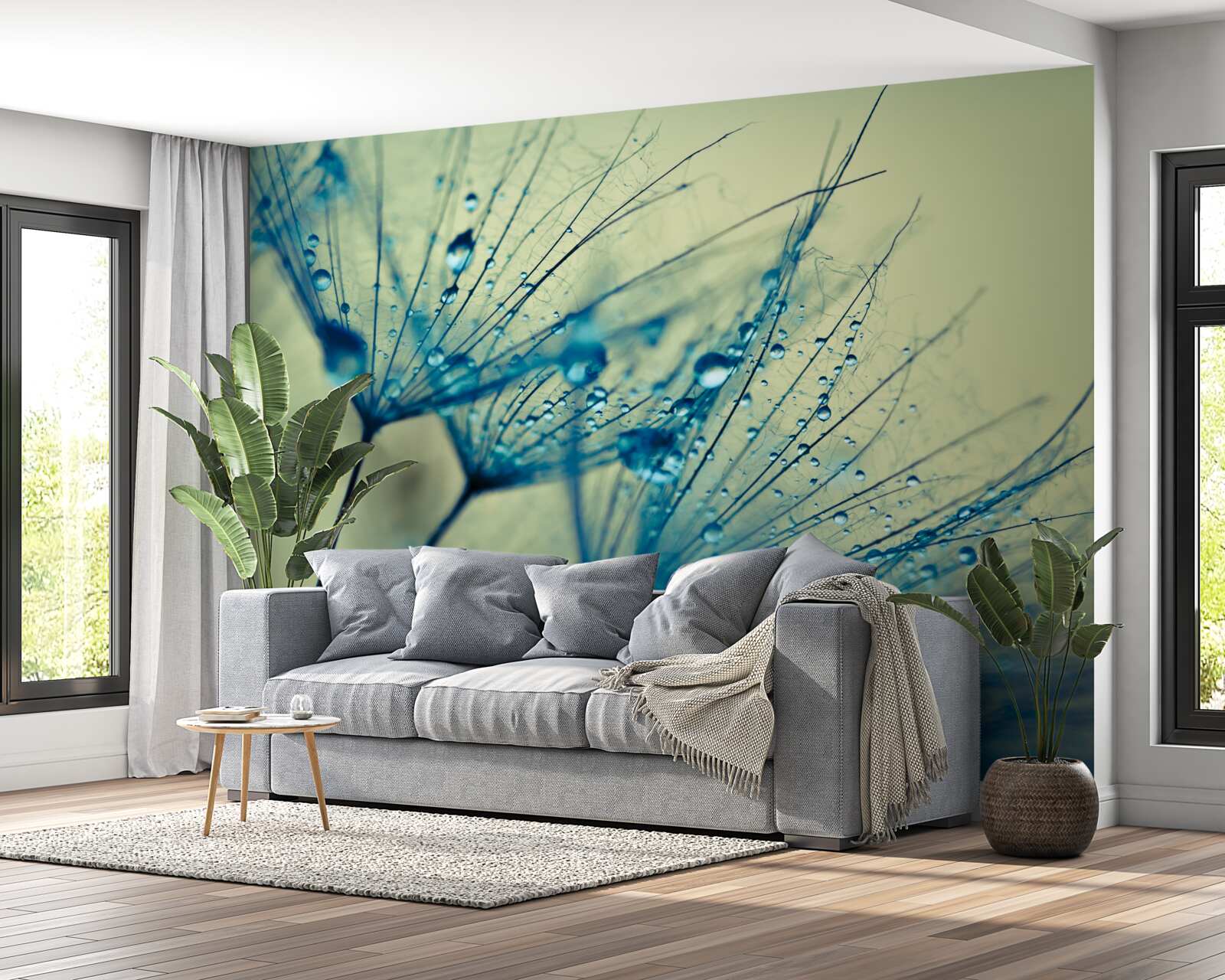 Papier peint pissenlit décoré de gouttes d'eau