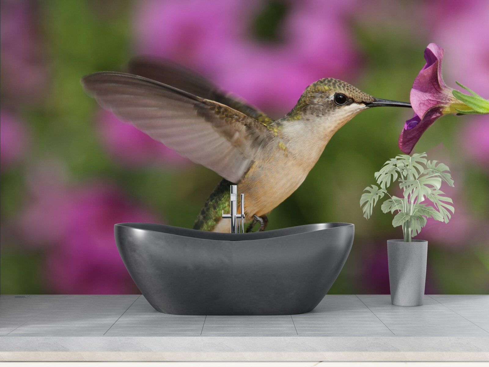 Papier peint le nectar étanche la soif des colibris