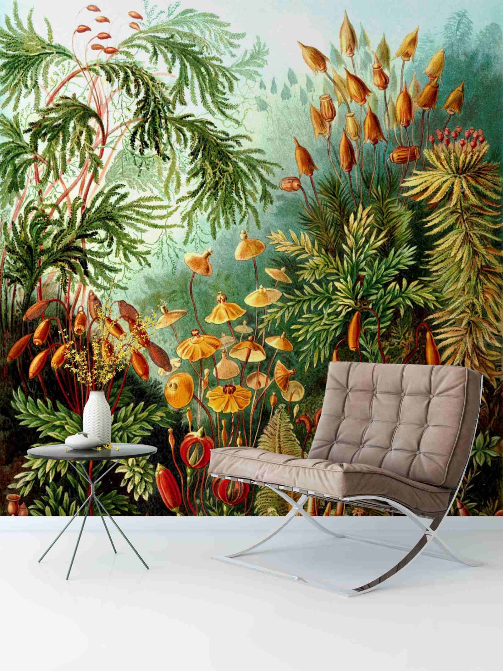 Papier peint des nuances étonnantes de forêt tropicale