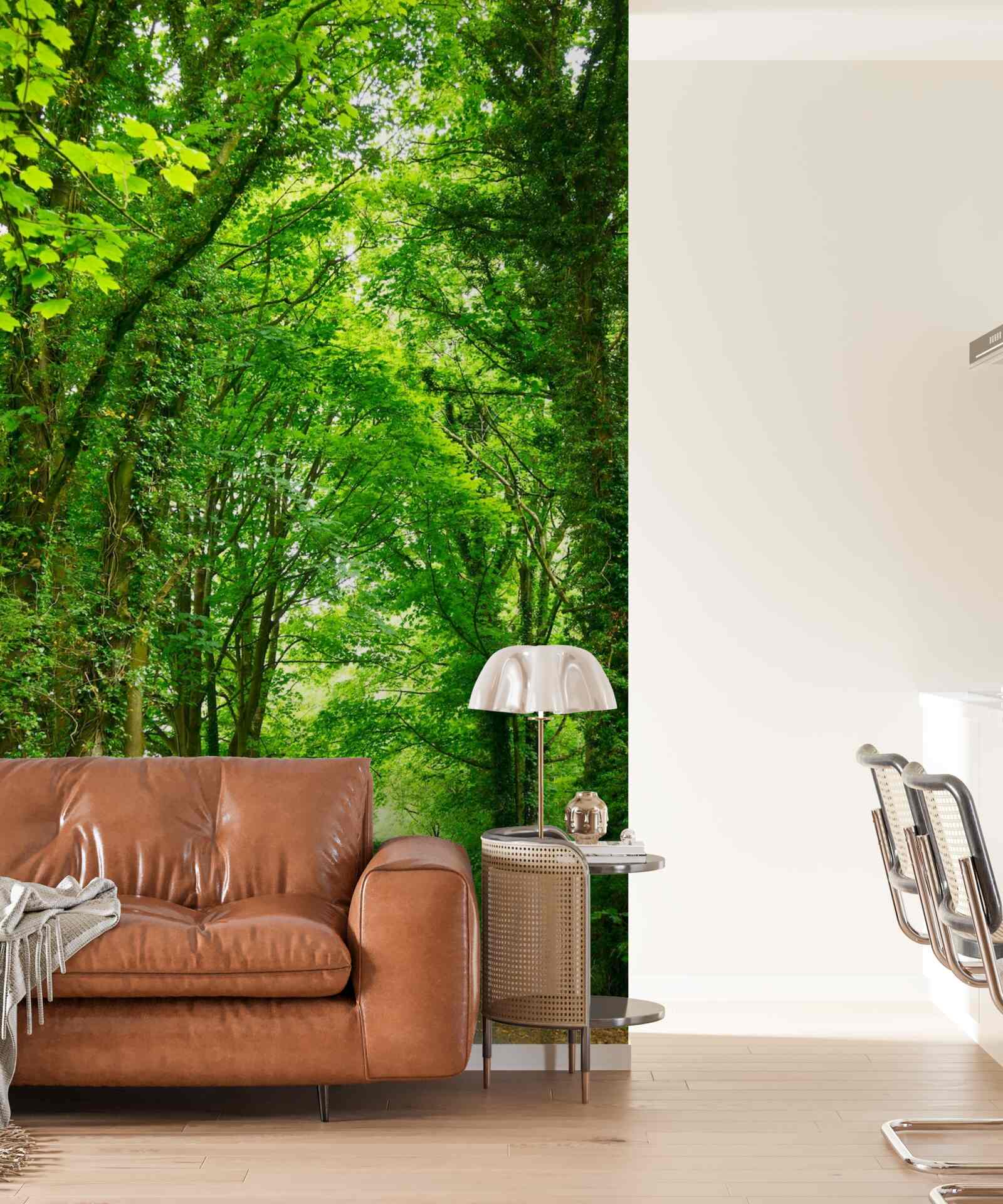 Papier peint des arcs d'arbres verts s'élèvent au-dessus du chemin