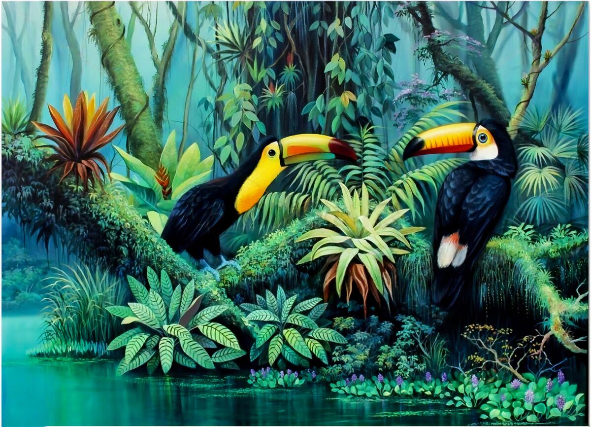 Papier peint forêt tropicale oiseaux faune