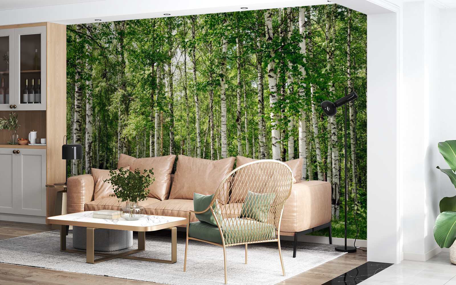 Papier peint bosquet de bouleaux élancés