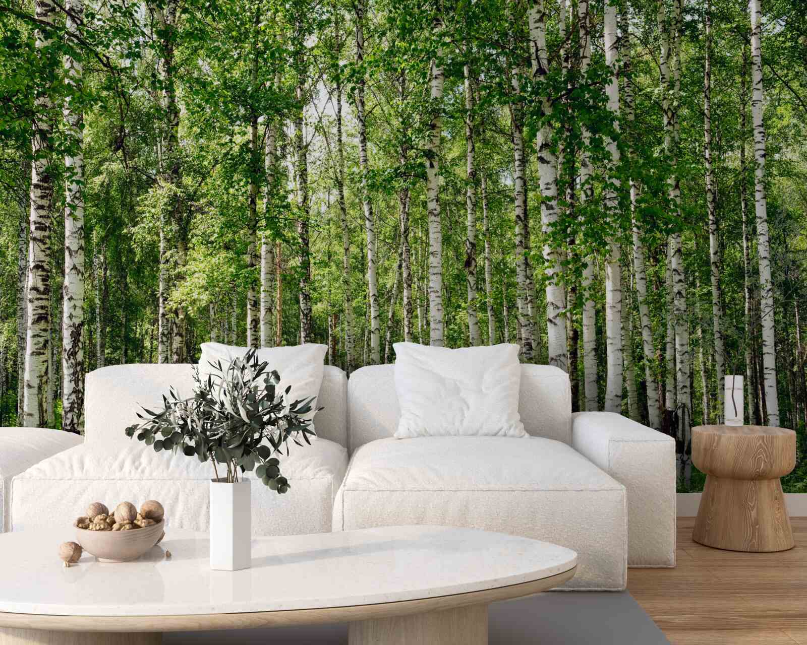 Papier peint bosquet de bouleaux élancés