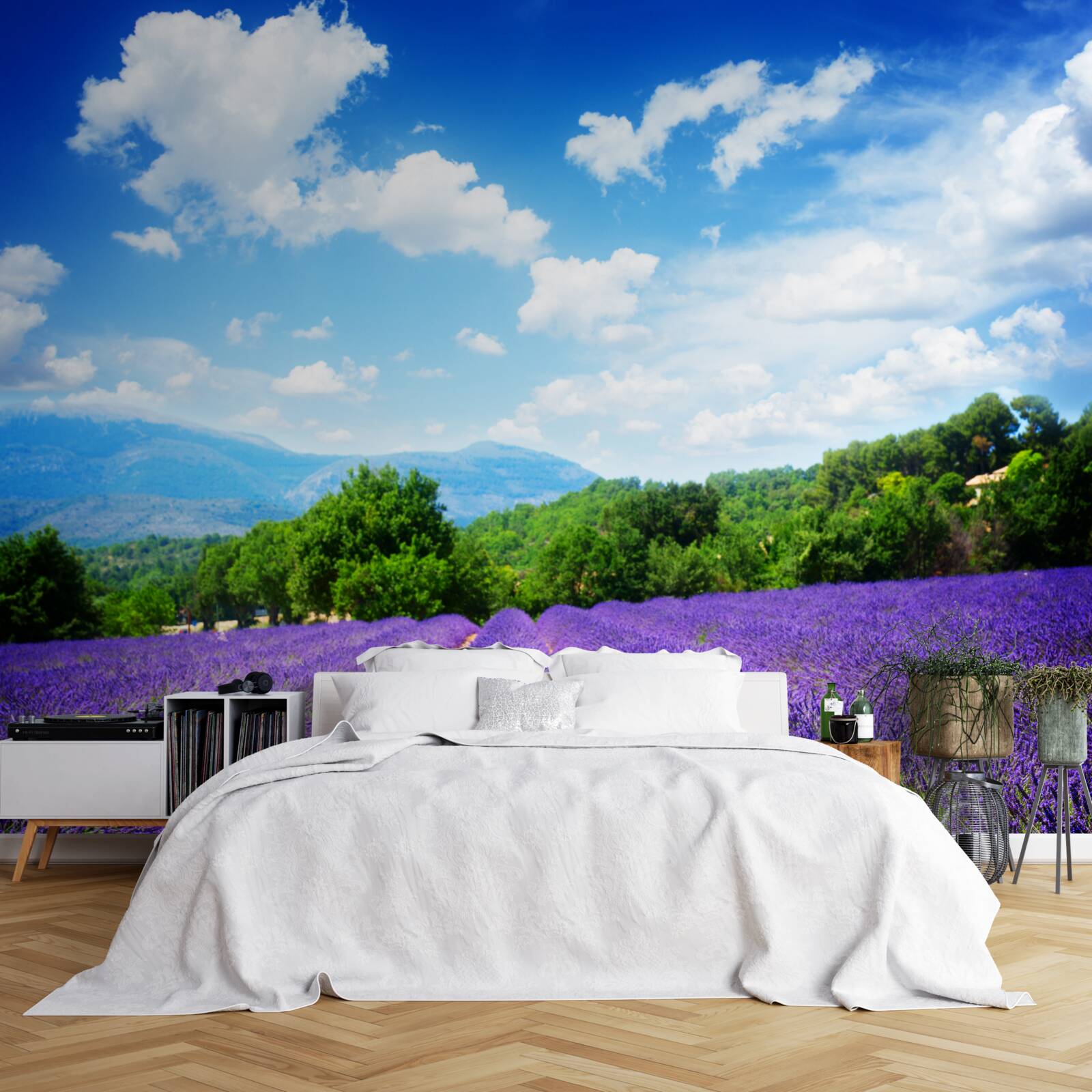 Papier peint des étendues infinies de lavande douce