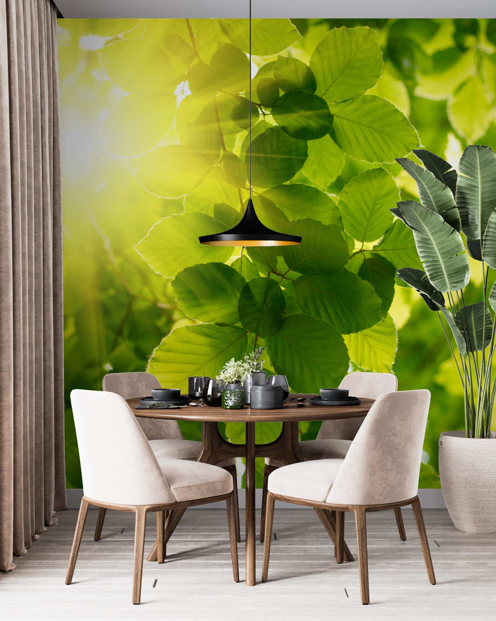 Papier peint la lumière matinale du soleil salue les feuilles vertes