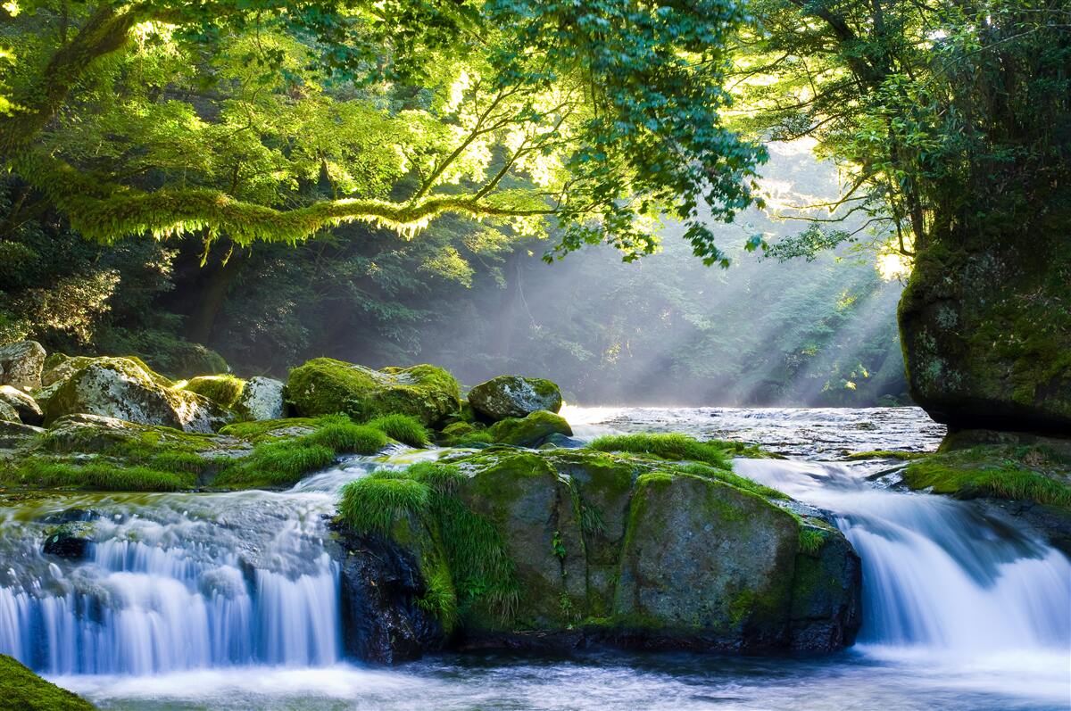Papier peint les rayons du soleil atteignent la cascade de la forêt