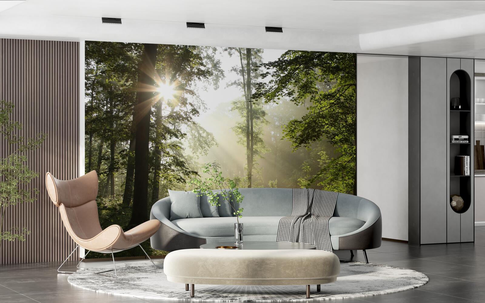 Papier peint les rayons du soleil chassent le froid nocturne des arbres