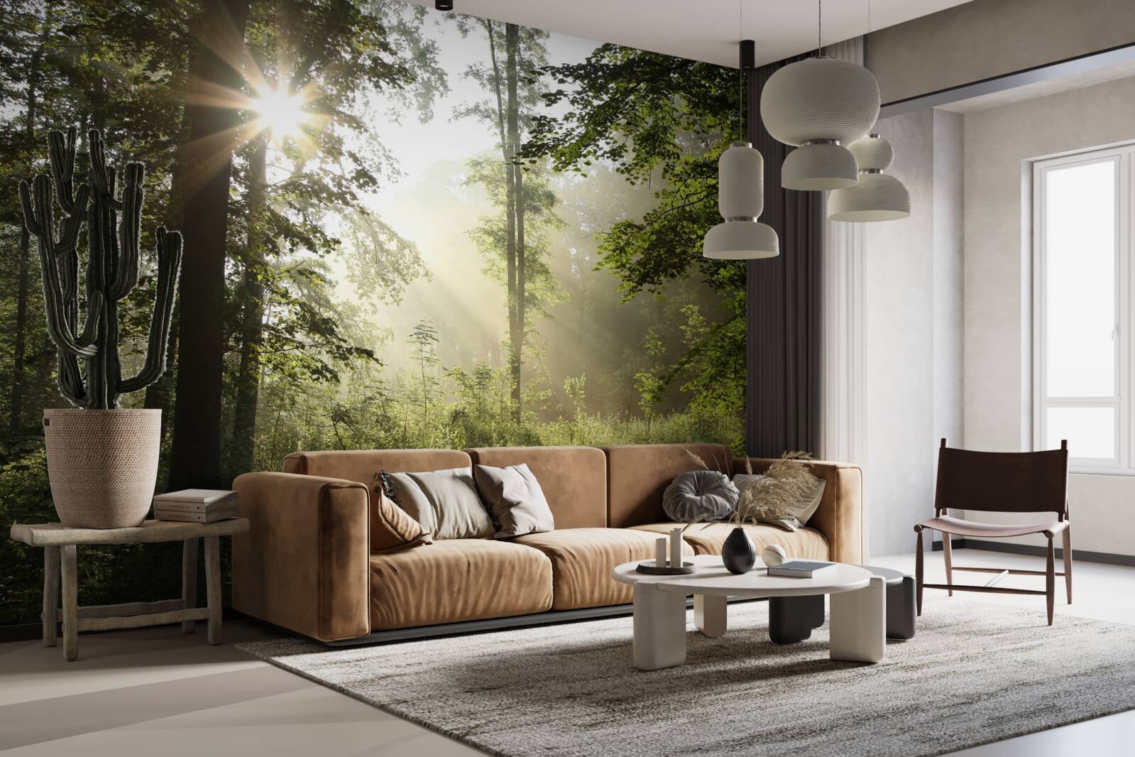 Papier peint les rayons du soleil chassent le froid nocturne des arbres