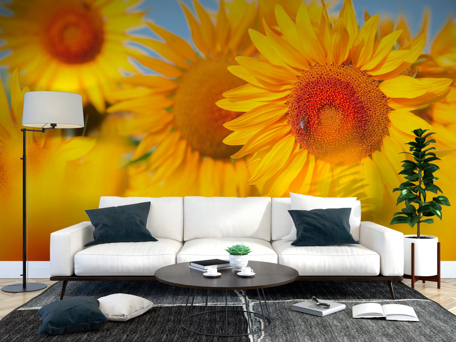 Papier peint tournesols sous le soleil