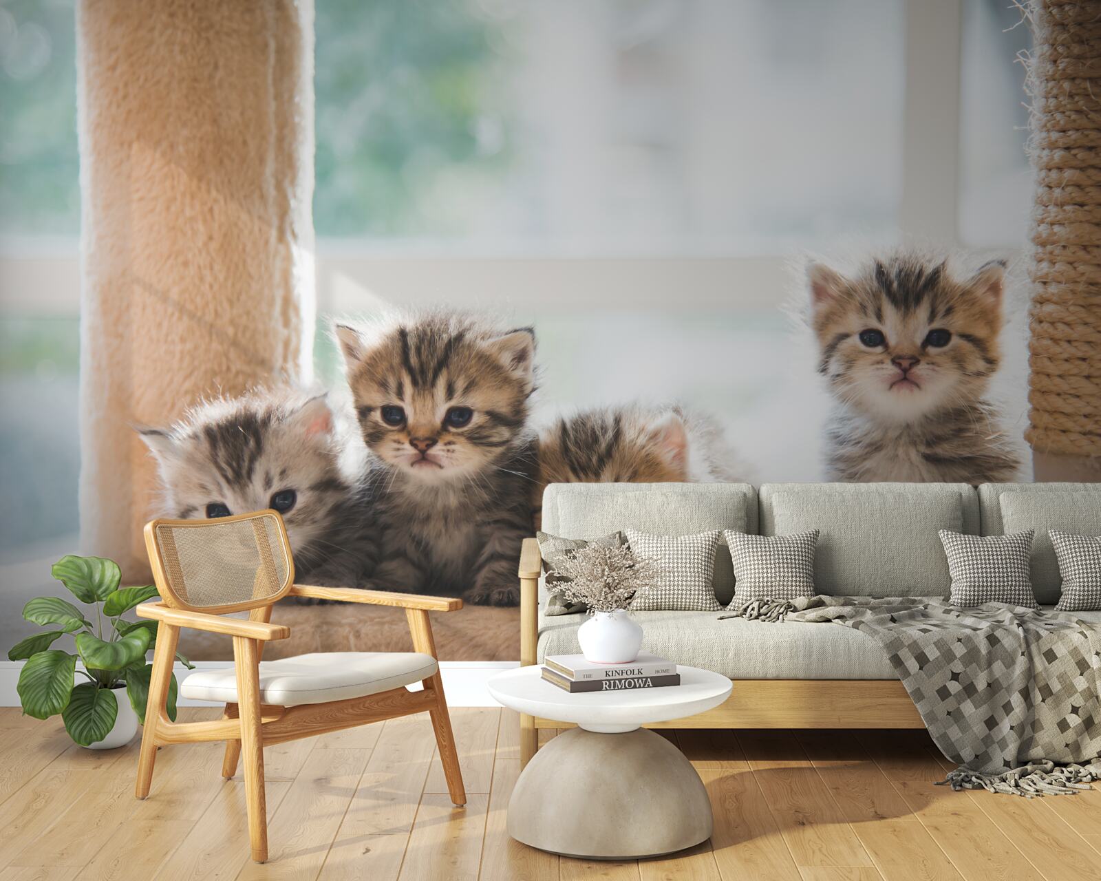 Papier peint les bébés chats cherchent leur mère