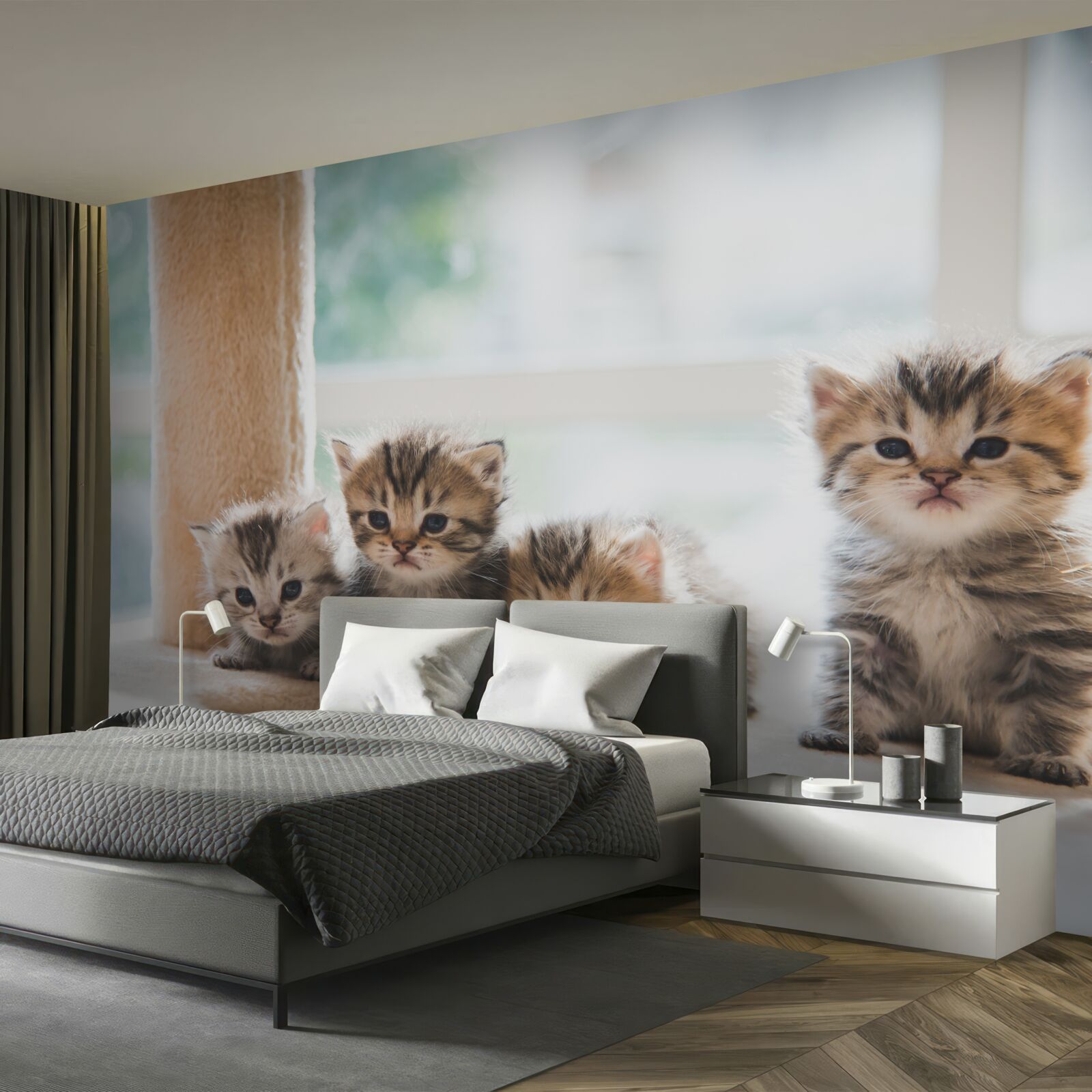 Papier peint les bébés chats cherchent leur mère