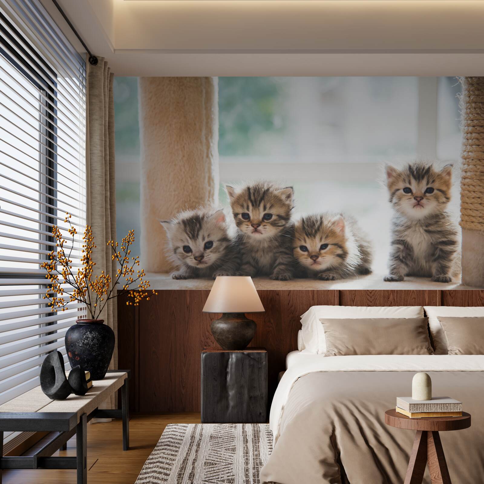 Papier peint les bébés chats cherchent leur mère