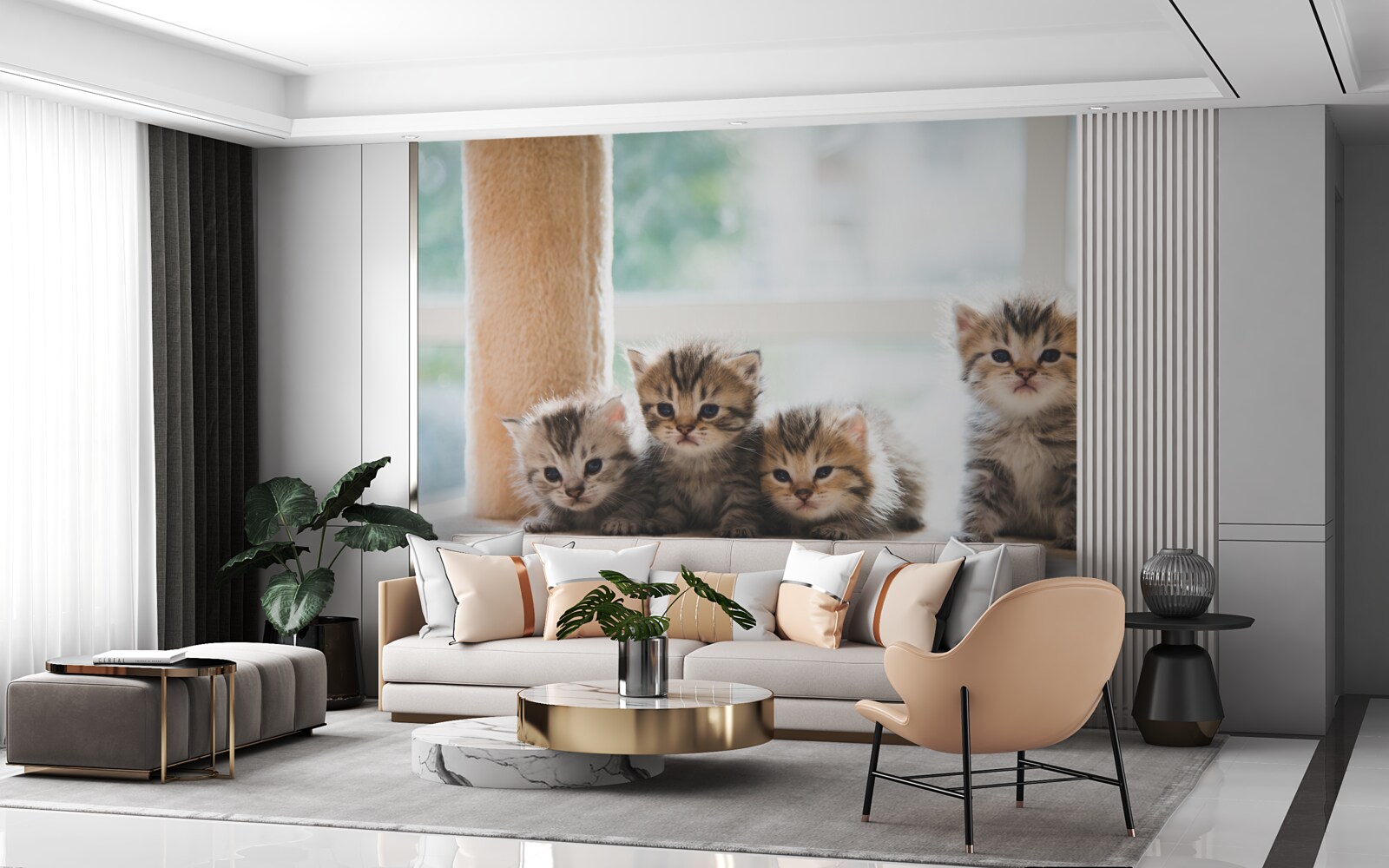 Papier peint les bébés chats cherchent leur mère