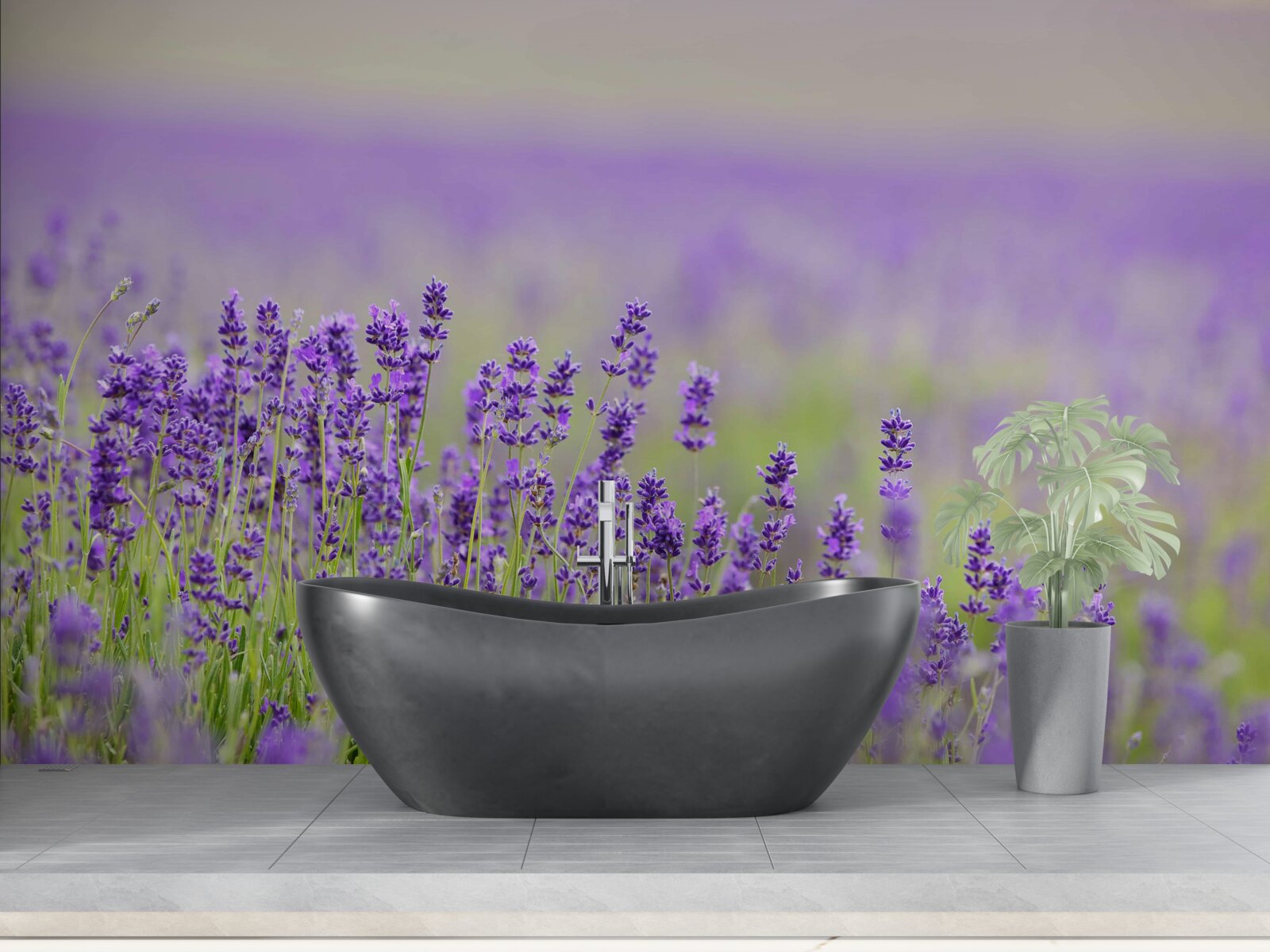 Papier peint champs de lavande