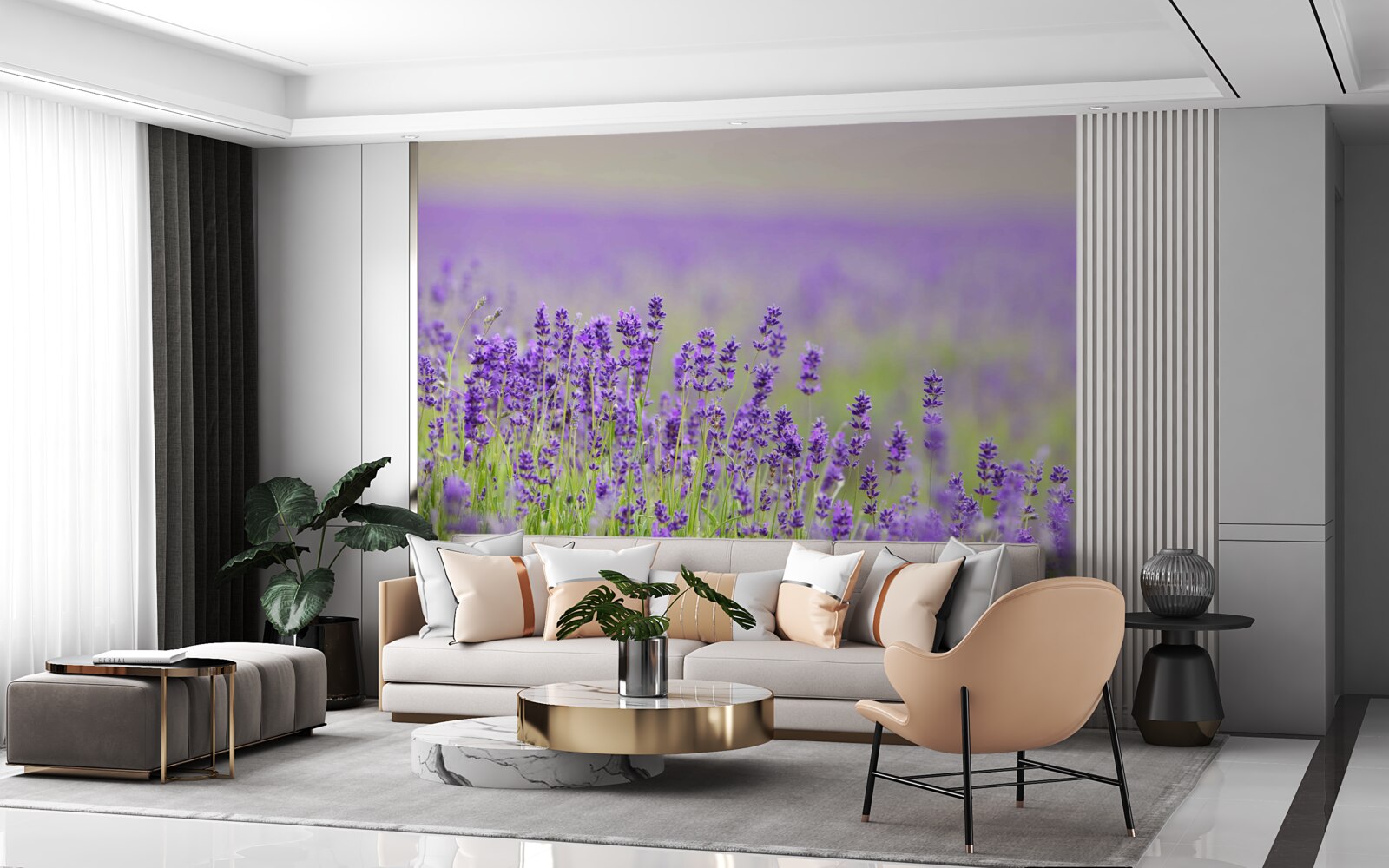 Papier peint champs de lavande