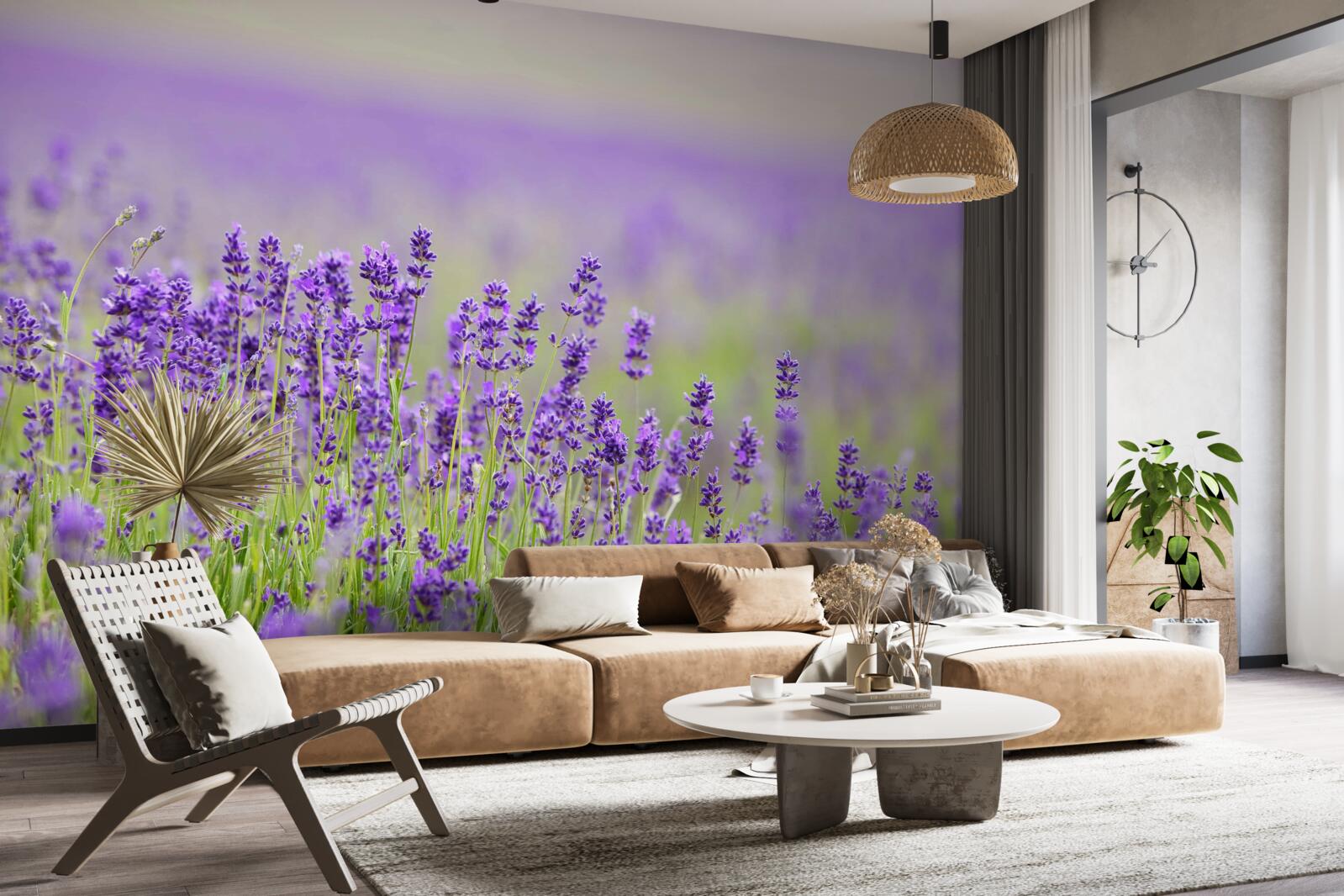 Papier peint champs de lavande