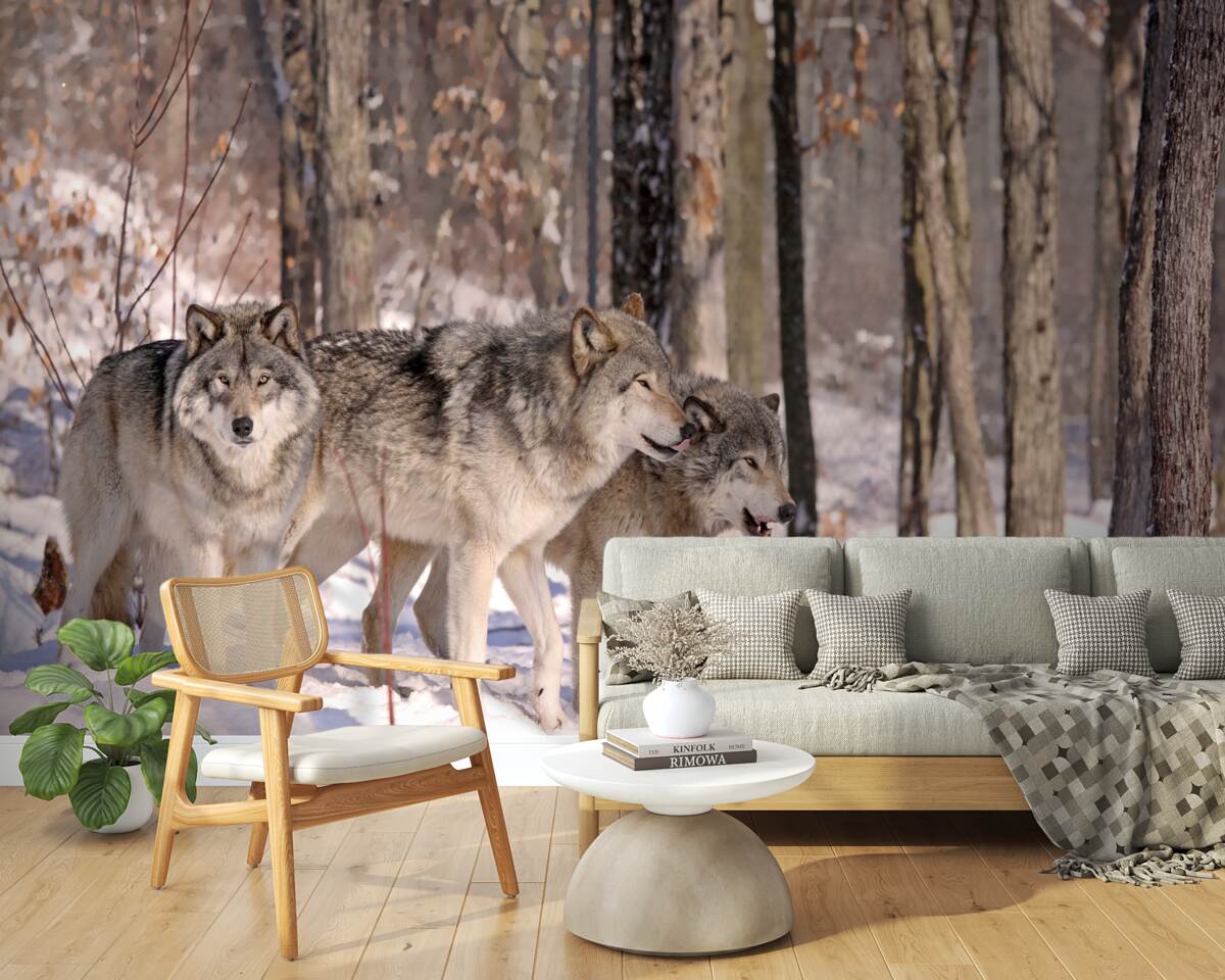 Papier peint un groupe de loups se promène dans un bosquet de la forêt d'hiver