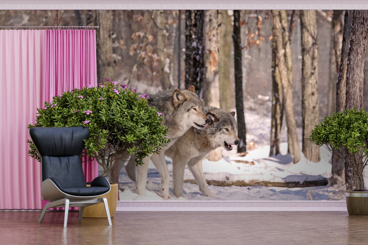 Papier peint un groupe de loups se promène dans un bosquet de la forêt d'hiver