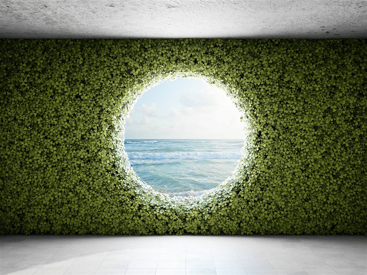Papier peint Mur de plantes vertes avec ouverture circulaire