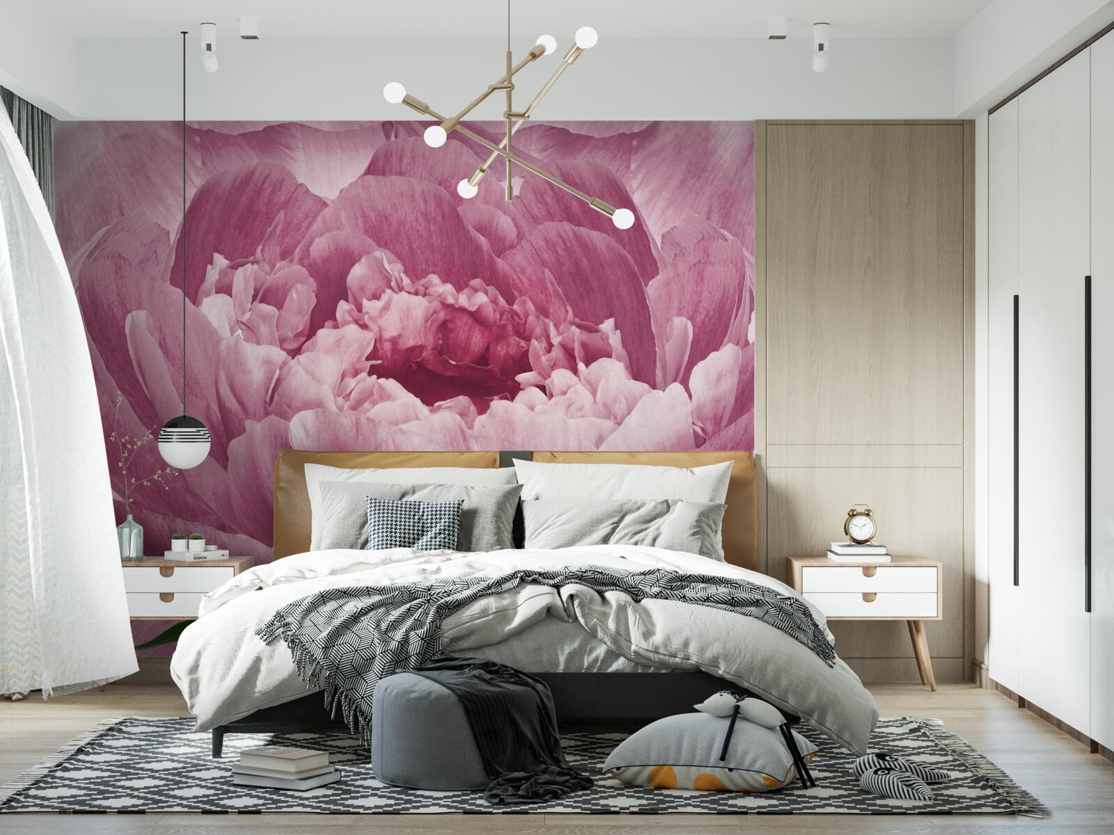 Papier peint abondante fleur d'aster rose