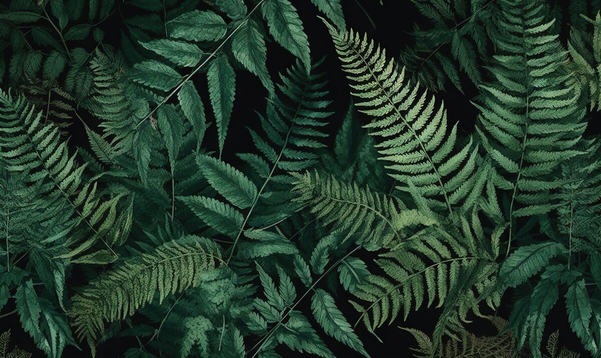 Papier peint la nuit, les pétales de fougères se balancent facilement