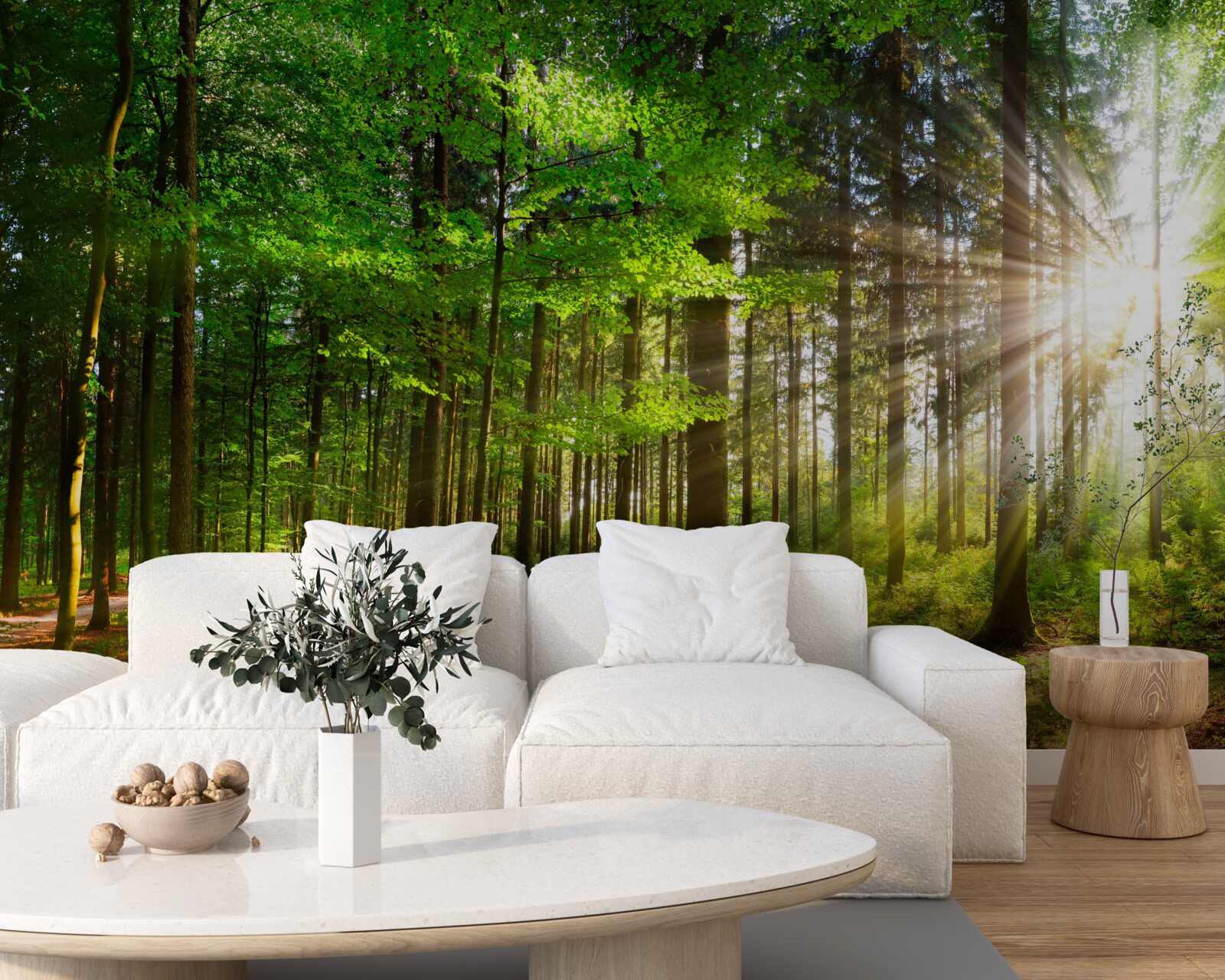 Papier peint soleil éclatant dans une forêt couverte de feuilles vertes