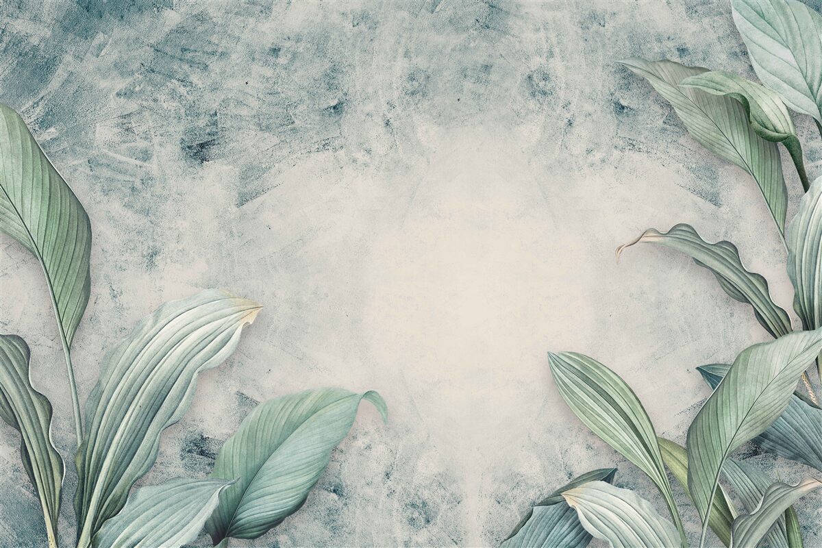 Papier peint Les plantes tropicales sont entourées d'un brouillard brumeux