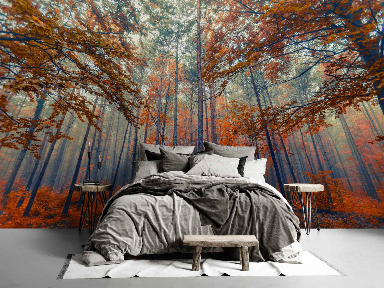 Papier peint feuilles d'automne tombées dans la forêt