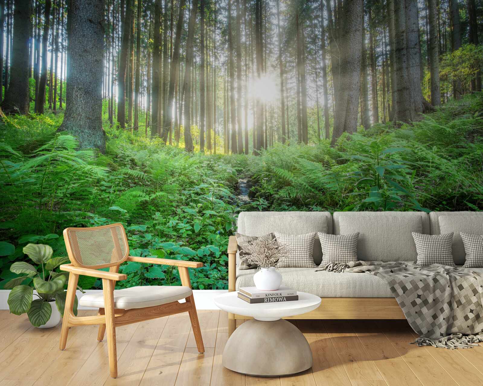 Papier peint les rayons du soleil pénètrent dans la forêt dense