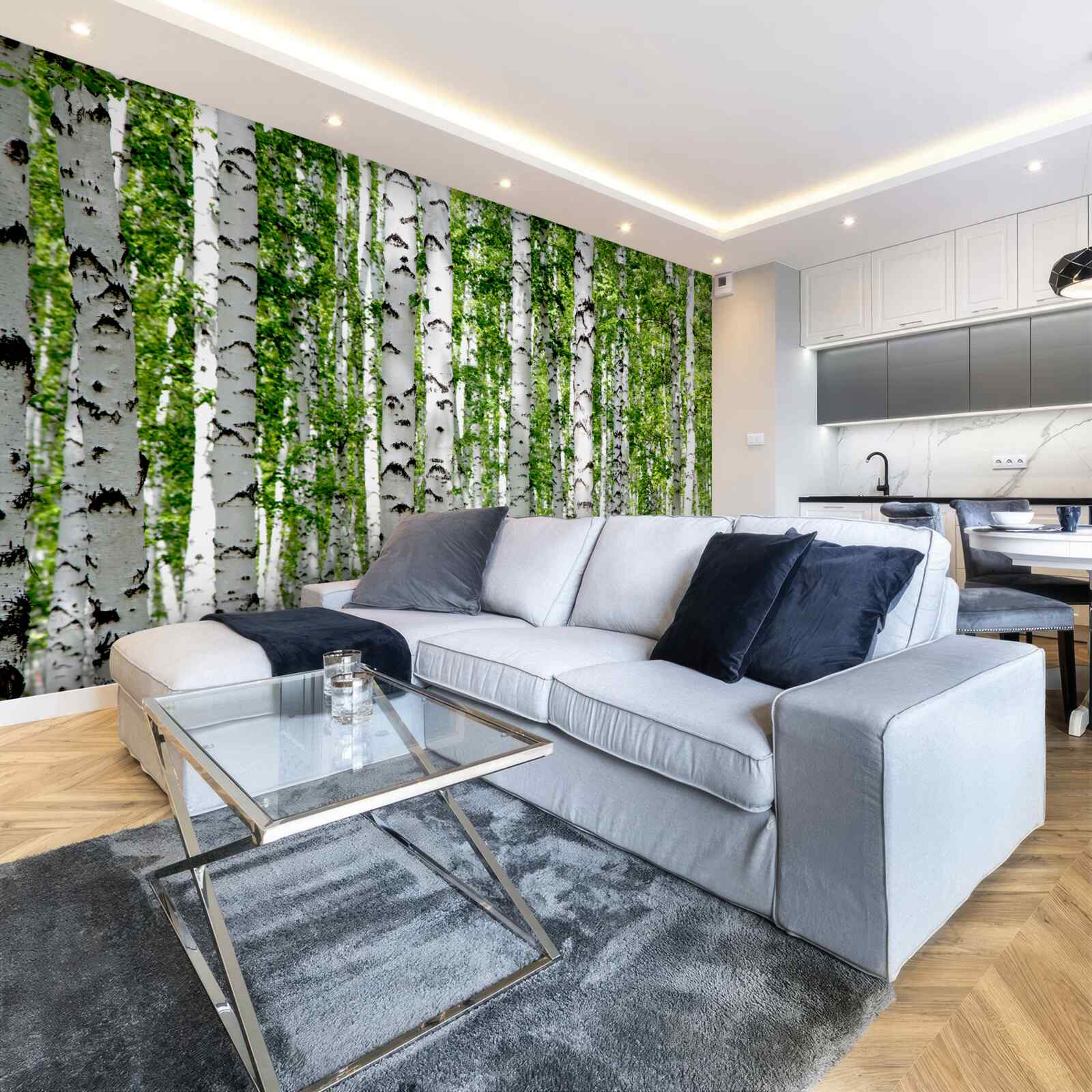 Papier peint les feuilles brillantes des gracieux bouleaux