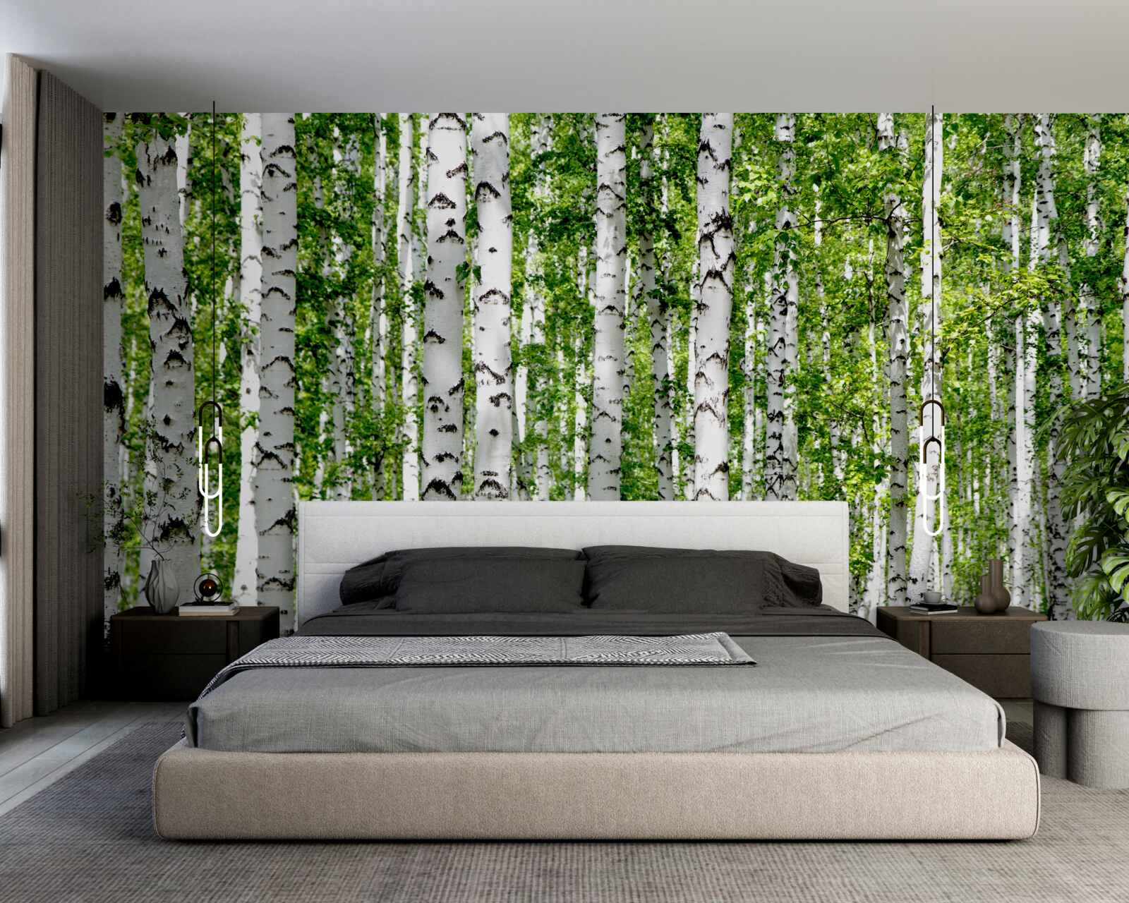 Papier peint les feuilles brillantes des gracieux bouleaux