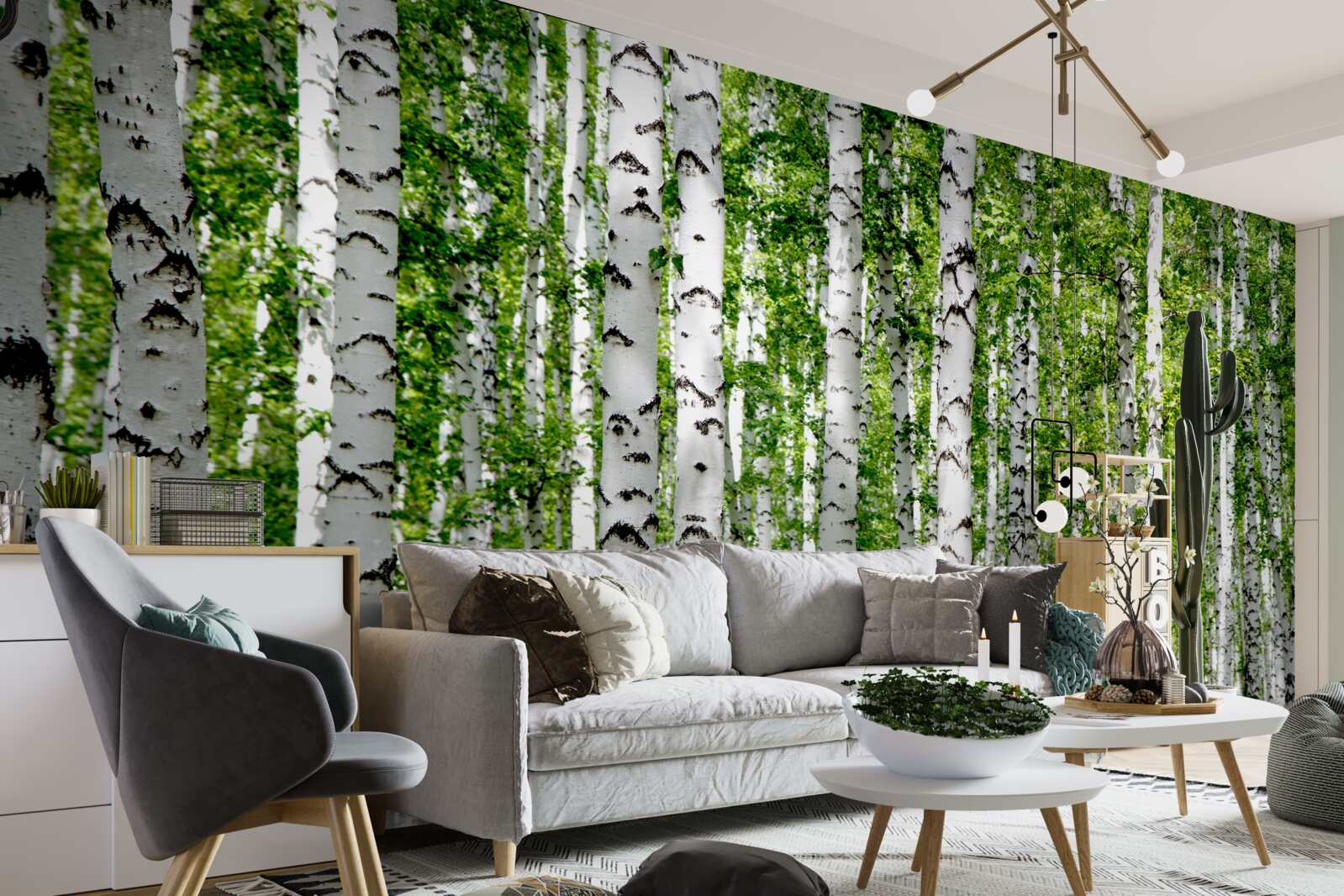 Papier peint les feuilles brillantes des gracieux bouleaux