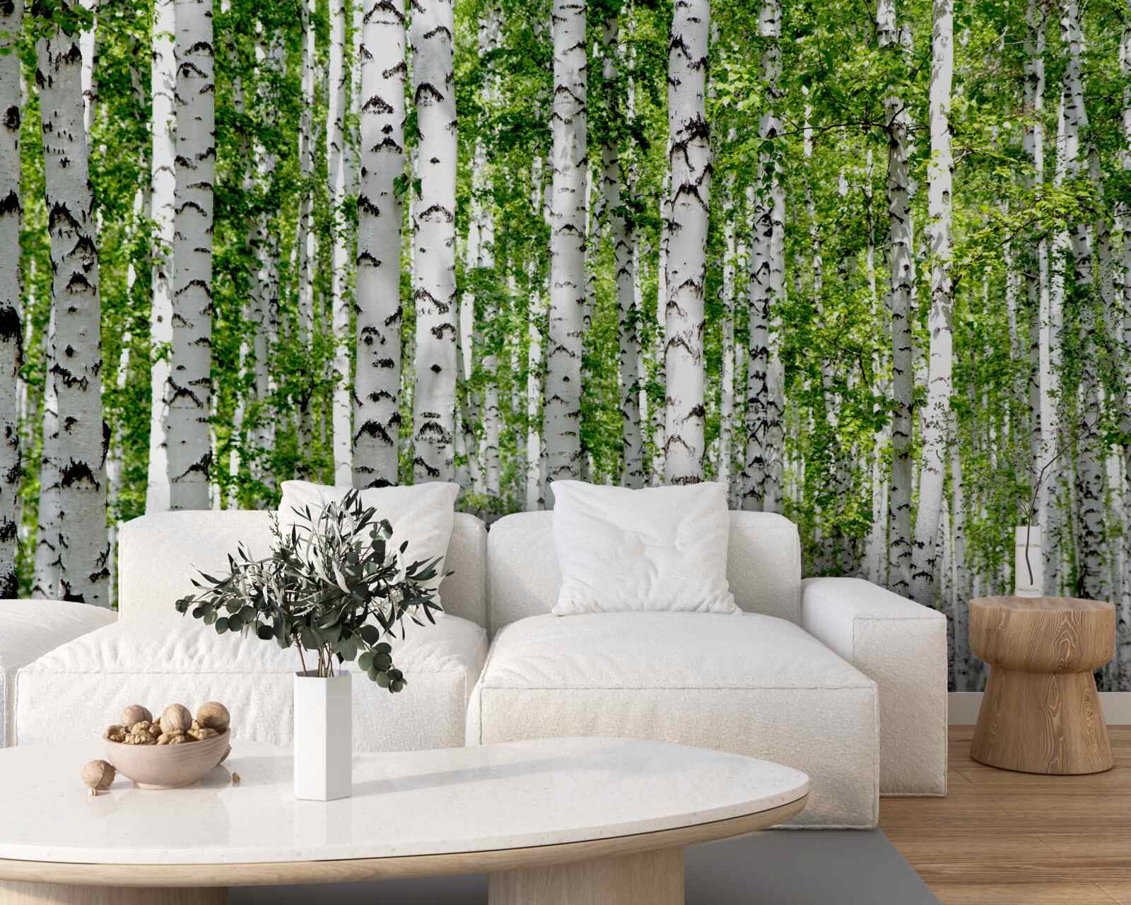 Papier peint les feuilles brillantes des gracieux bouleaux