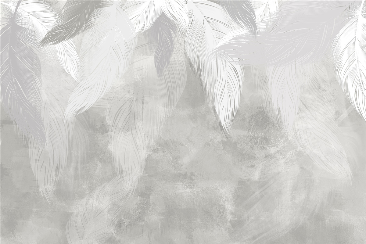 Papier peint une matinée dans la forêt tropicale, enveloppée de brume