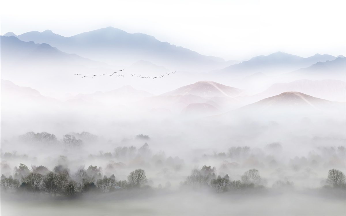 Papier peint un brouillard dense et frais recouvre les sommets des montagnes