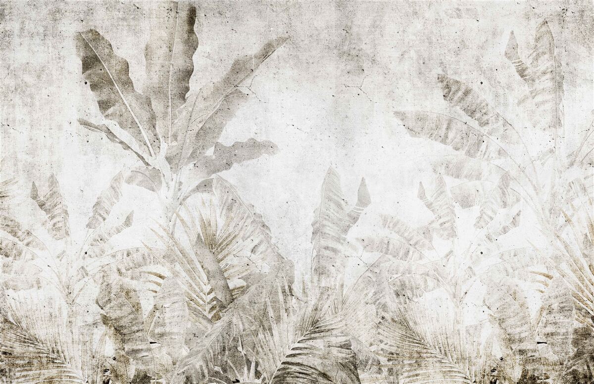 Papier peint la brume enveloppe les feuilles des arbres tropicaux
