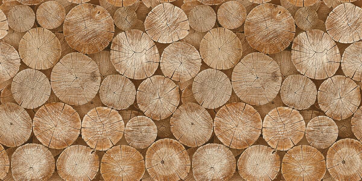 Papier peint pile de bois de chauffage récolté