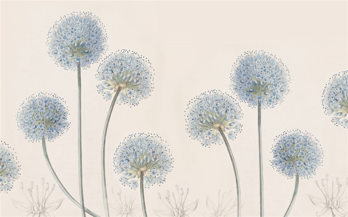 Papier peint les cimes des gracieux agaves