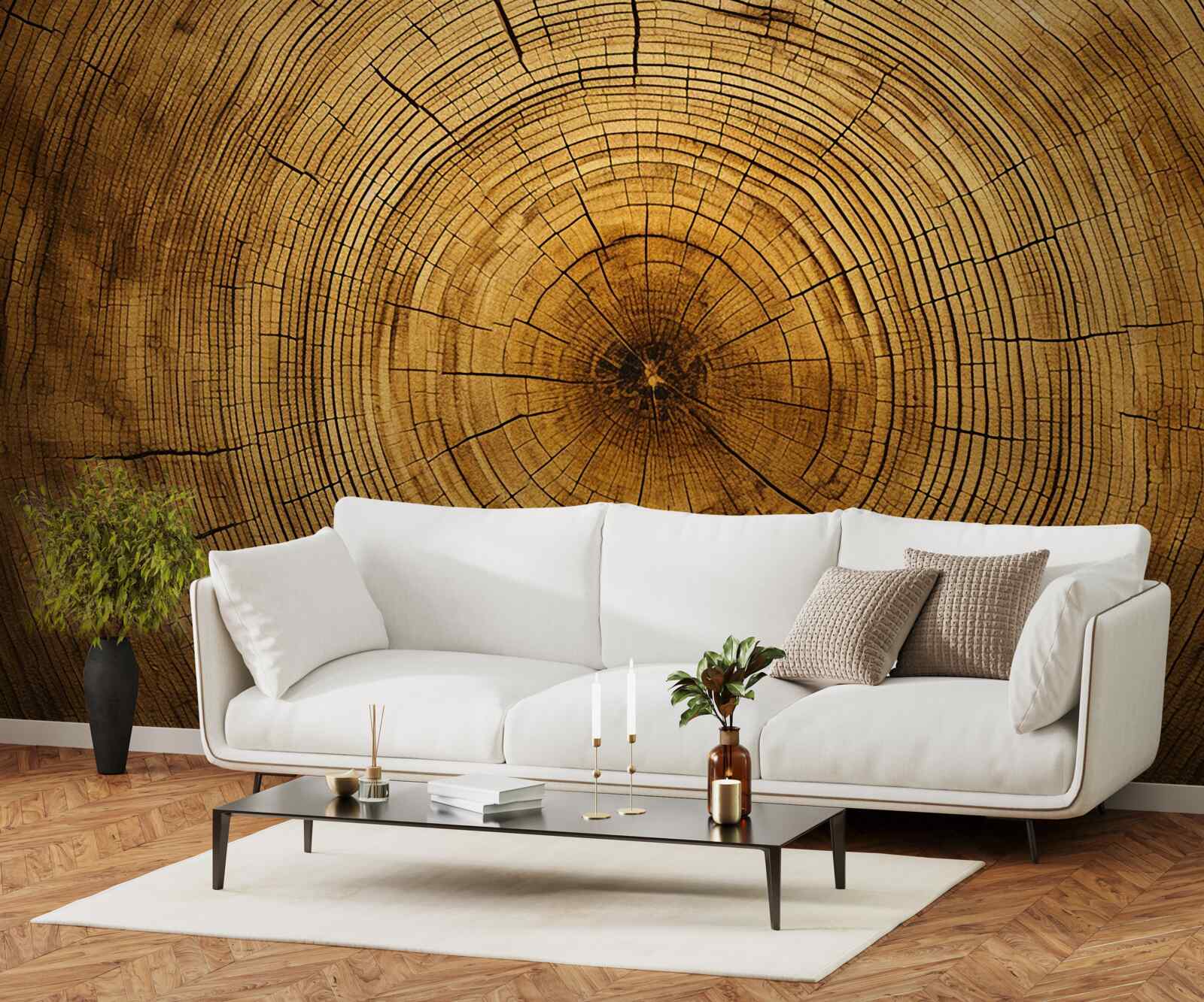 Papier peint fragments d'un pilier d'arbre riche en couches séculaires