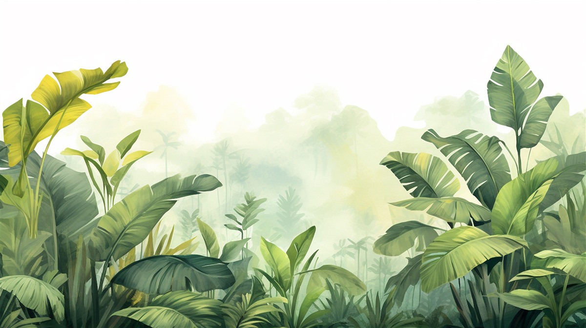 Papier peint Aube dans une forêt tropicale