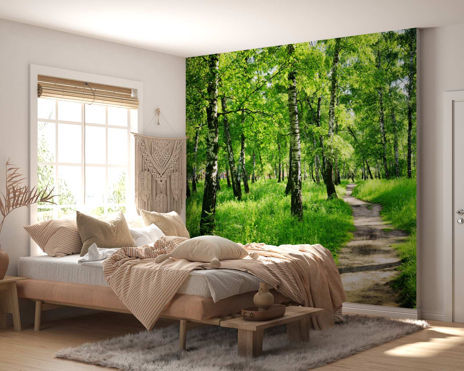 Papier peint Chemin à travers un bosquet de bouleaux