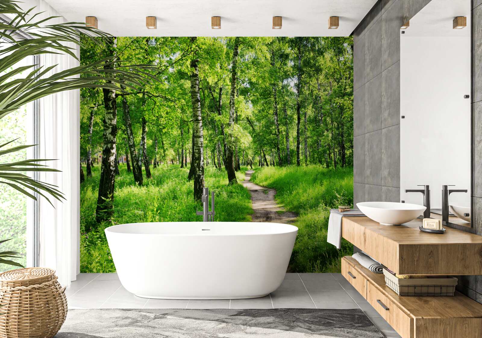 Papier peint Chemin à travers un bosquet de bouleaux